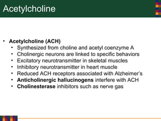 Acetylcholine
• Acetylcholine (ACH)
• Synthesized from choline and acetyl coenzyme A
• Cholinergic neurons are linked to specific behaviors
• Excitatory neurotransmitter in skeletal muscles
• Inhibitory neurotransmitter in heart muscle
• Reduced ACH receptors associated with Alzheimer’s
• Anticholinergic hallucinogens interfere with ACH
• Cholinesterase inhibitors such as nerve gas
 