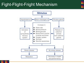 Fight-Flight-Fright Mechanism
 