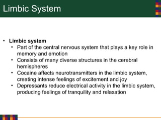 Limbic System
• Limbic system
• Part of the central nervous system that plays a key role in
memory and emotion
• Consists of many diverse structures in the cerebral
hemispheres
• Cocaine affects neurotransmitters in the limbic system,
creating intense feelings of excitement and joy
• Depressants reduce electrical activity in the limbic system,
producing feelings of tranquility and relaxation
 
