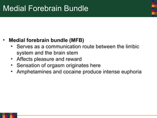 Medial Forebrain Bundle
• Medial forebrain bundle (MFB)
• Serves as a communication route between the limbic
system and the brain stem
• Affects pleasure and reward
• Sensation of orgasm originates here
• Amphetamines and cocaine produce intense euphoria
 