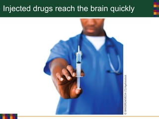 Injected drugs reach the brain quickly
 