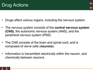 Drug Actions
• Drugs affect various organs, including the nervous system.
• The nervous system consists of the central nervous system
(CNS), the autonomic nervous system (ANS), and the
peripheral nervous system (PNS)
• The CNS consists of the brain and spinal cord, and is
composed of nerve cells (neurons)
• Information is transmitted electrically within the neuron, and
chemically between neurons
 