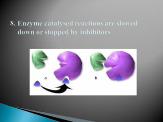 properties of enzyme