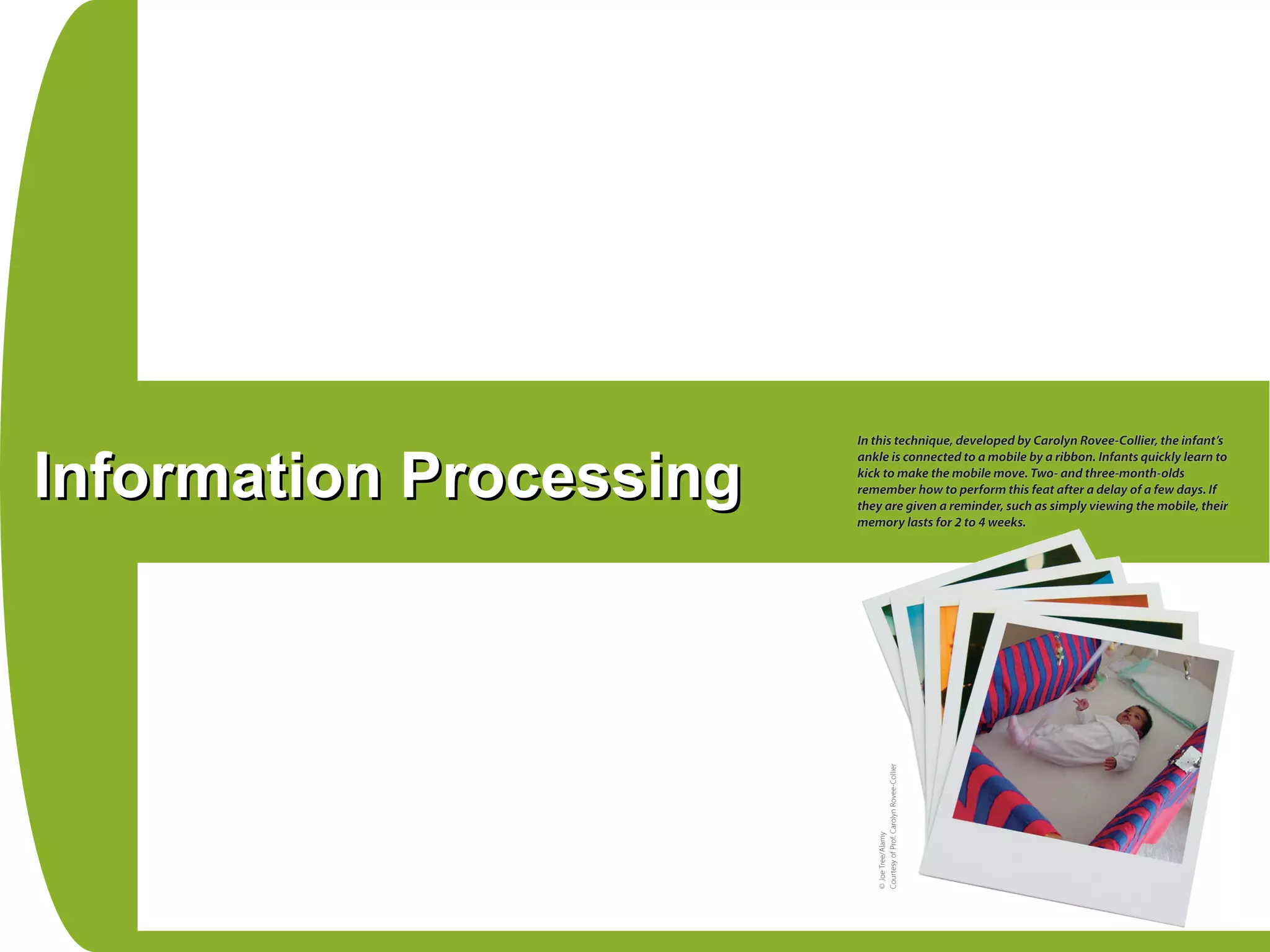 Information ProcessingInformation Processing
 