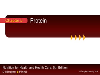 Nutrition for Health and Health Care, 5th Edition
DeBruyne ■ Pinna © Cengage Learning 2014
ProteinChapter 5
 