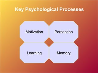 Key Psychological Processes
Motivation
MemoryLearning
Perception
 