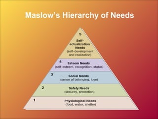 Maslow’s Hierarchy of Needs
 