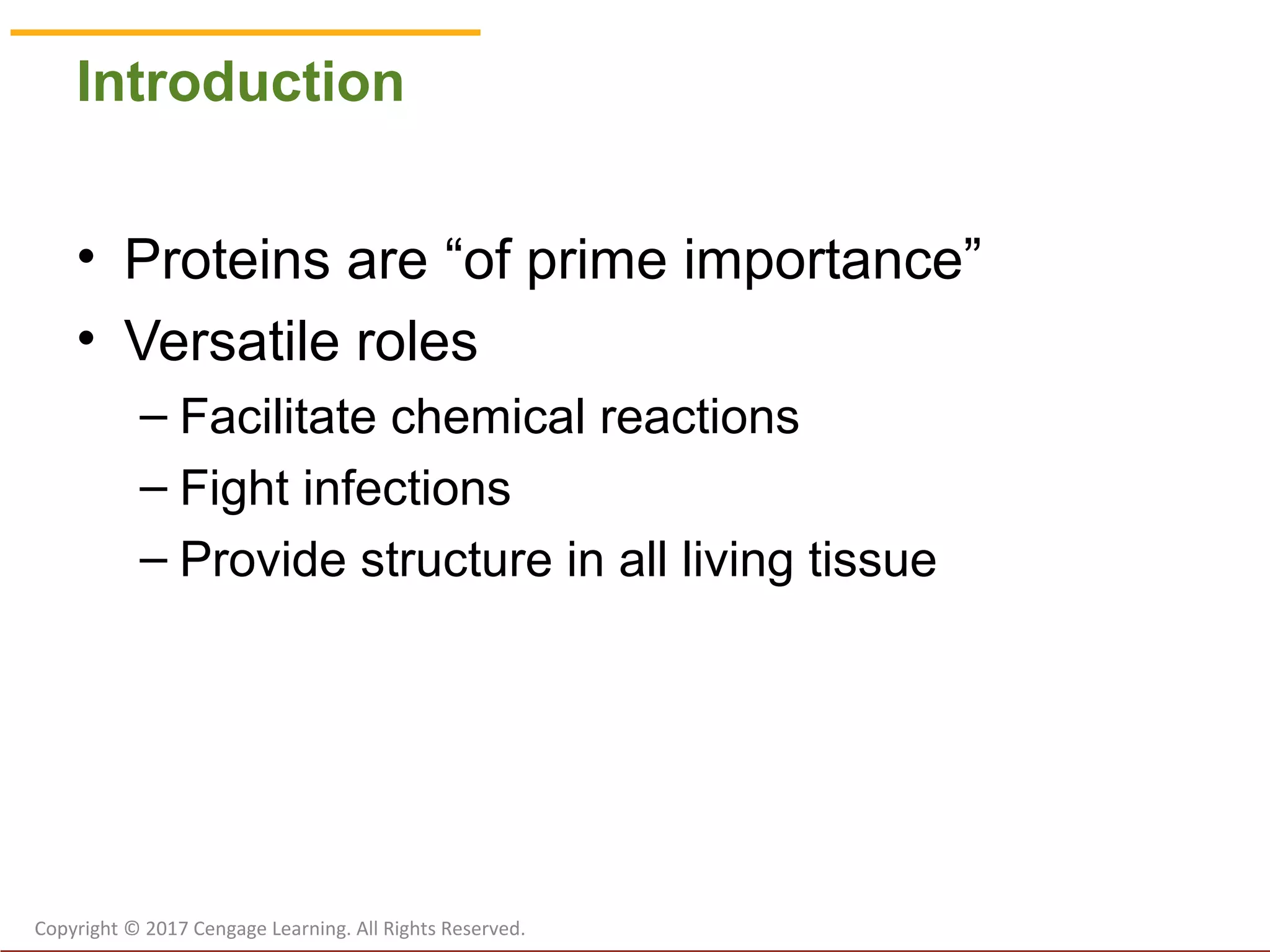 Chapter 5 Protein Ppt