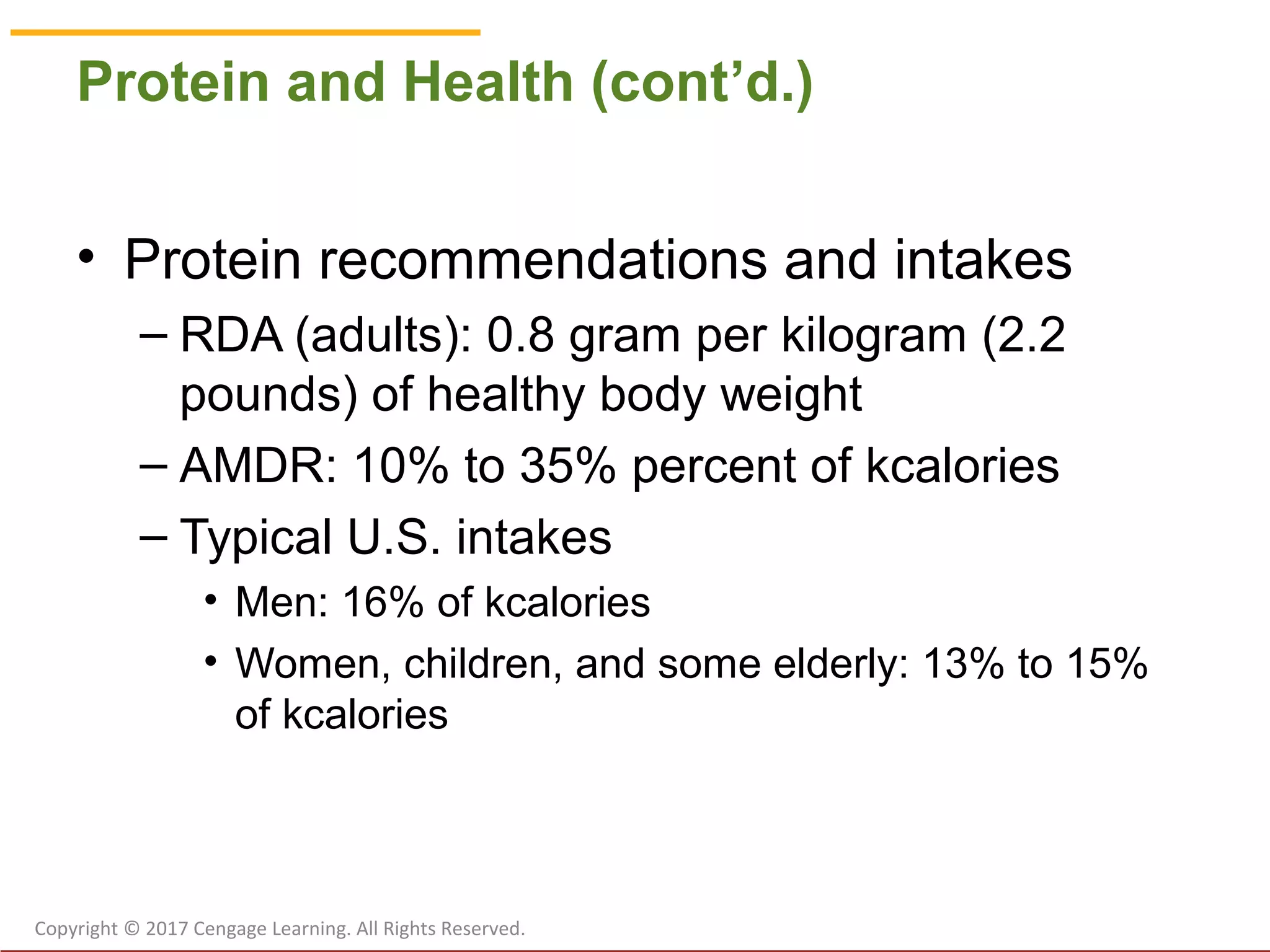 Chapter 5 Protein Ppt