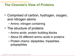 Protein Element Chapter 5: Protein | PPT