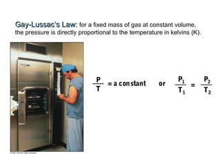 P
T
P1
T1
P2
T2
= a constant or =
Gay-LussacGay-Lussac’s Law’s Law:: for a fixed mass of gas at constant volume,
the pressure is directly proportional to the temperature in kelvins (K).
 