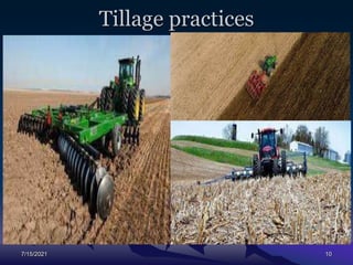Tillage practices
7/15/2021 10
 