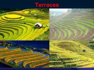 Terraces
7/15/2021 21
 