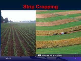 Strip Cropping
7/15/2021 9
 