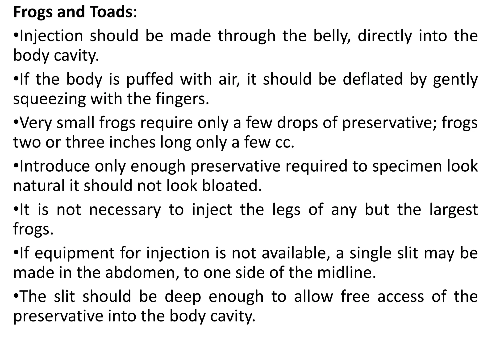 Steps for the preservation of animals invertebrates and vertebrates | PPTX