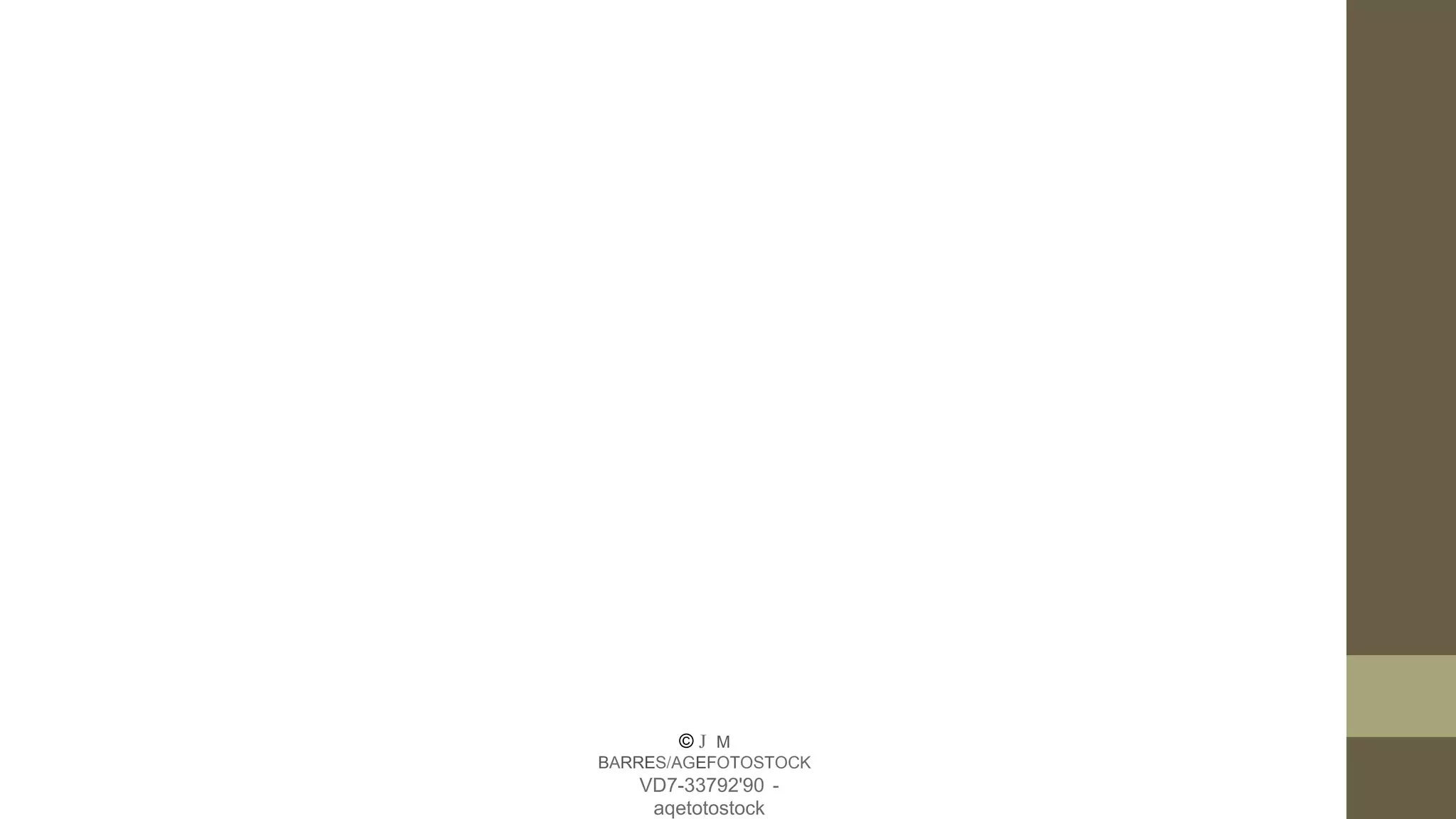 © J M
BARRES/AGEFOTOSTOCK
VD7-33792'90 -
aqetotostock
 