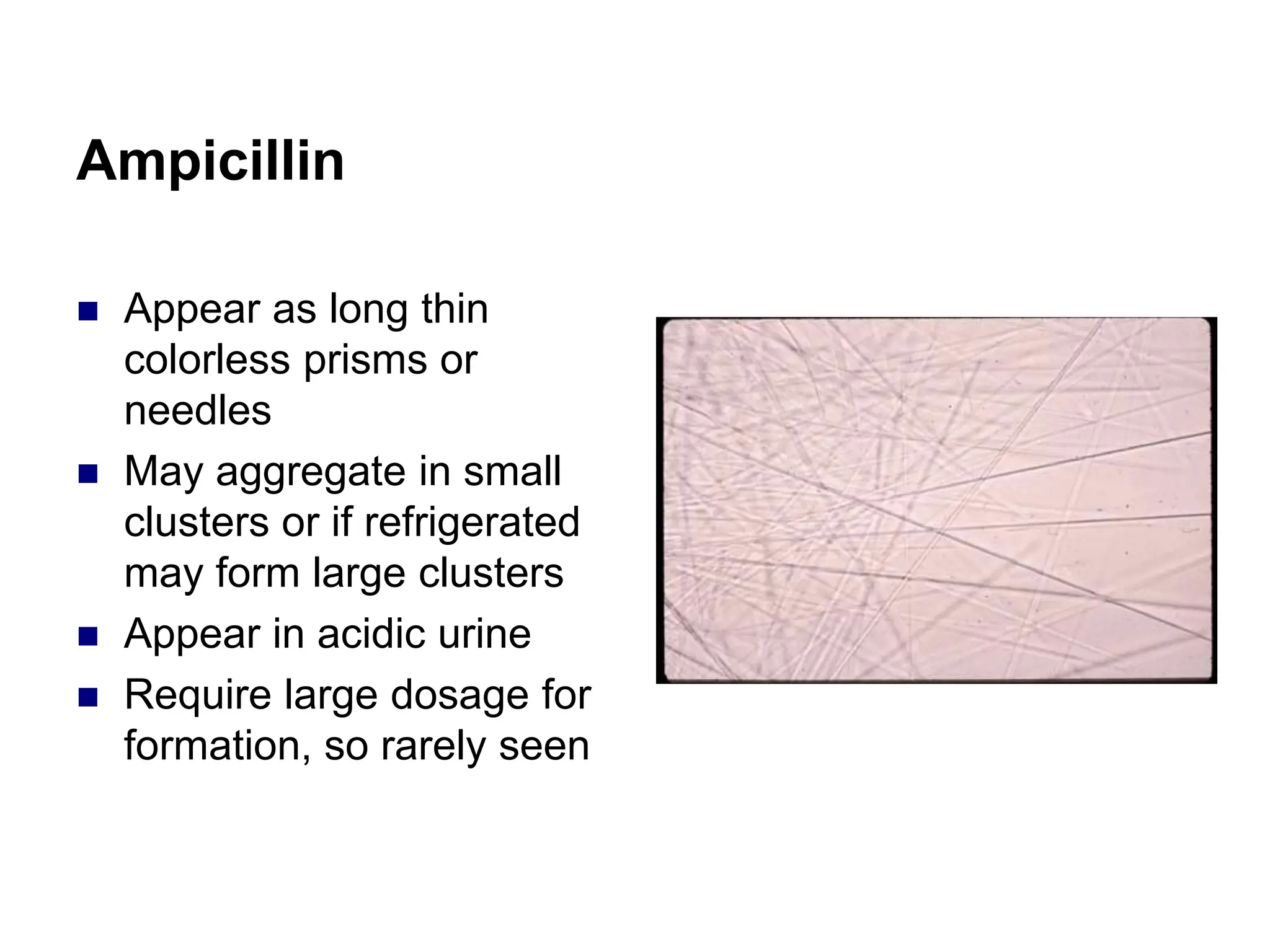Ampicillin
 Appear as long thin
colorless prisms or
needles
 May aggregate in small
clusters or if refrigerated
may form large clusters
 Appear in acidic urine
 Require large dosage for
formation, so rarely seen
 