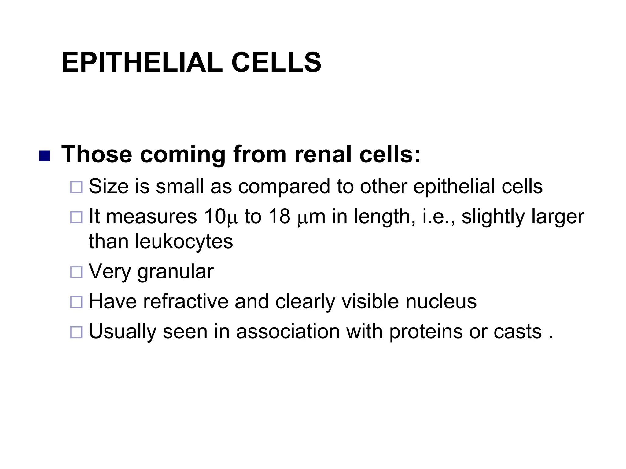 EPITHELIAL CELLS
 Those coming from renal cells:
 Size is small as compared to other epithelial cells
 It measures 10 to 18 m in length, i.e., slightly larger
than leukocytes
 Very granular
 Have refractive and clearly visible nucleus
 Usually seen in association with proteins or casts .
 