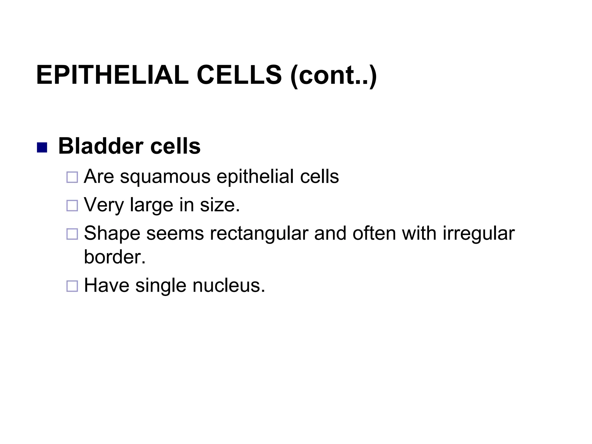 EPITHELIAL CELLS (cont..)
 Bladder cells
 Are squamous epithelial cells
 Very large in size.
 Shape seems rectangular and often with irregular
border.
 Have single nucleus.
 