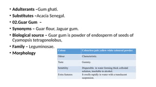 • Adulterants –Gum ghati.
• Substitutes –Acacia Senegal.
• 02.Guar Gum –
• Synonyms – Guar flour, Jaguar gum.
• Biological source – Guar gum is powder of endosperm of seeds of
Cyamopsis tetragonolobus,
• Family – Leguminosae.
• Morphology
Colour Colourless pale yellow white coloured powder.
Odour Characteristic.
Taste Gummy.
Solubility Dispersible in water forming thick colloidal
solution, insoluble in alcohol.
Extra features It swells rapidly in water with a translucent
suspension.
 