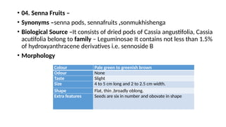 • 04. Senna Fruits –
• Synonyms –senna pods, sennafruits ,sonmukhishenga
• Biological Source –It consists of dried pods of Cassia angustifolia, Cassia
acutifolia belong to family – Leguminosae It contains not less than 1.5%
of hydroxyanthracene derivatives i.e. sennoside B
• Morphology
Colour Pale green to greenish brown
Odour None
Taste Slight
Size 4 to 5 cm long and 2 to 2.5 cm width.
Shape Flat, thin ,broadly oblong.
Extra features Seeds are six in number and obovate in shape
 
