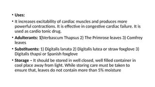 • Uses:
• It increases excitability of cardiac muscles and produces more
powerful contractions. It is effective in congestive cardiac failure. It is
used as cardio tonic drug.
• Adulterants: 1)Verbascum Thapsus 2) The Primrose leaves 3) Comfrey
leaves
• Substituents: 1) Digitalis lanata 2) Digitalis lutea or straw foxglove 3)
Digitalis thapsi or Spanish foxglove
• Storage – It should be stored in well closed, well filled container in
cool place away from light. While storing care must be taken to
ensure that, leaves do not contain more than 5% moisture
 