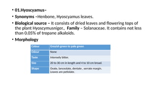 • 01.Hyoscyamus–
• Synonyms –Henbone, Hyoscyamus leaves.
• Biological source – It consists of dried leaves and flowering tops of
the plant Hyoscymusniger., Family – Solanaceae. It contains not less
than 0.05% of tropane alkaloids.
• Morphology
Colour Greyish green to pale green
Odour None
Taste Intensely bitter.
Size 20 to 30 cm in length and 4 to 10 cm broad.
Shape Ovate, lanceolate, dentate , serrate margin.
Leaves are petiolate.
 