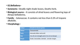 • 02.Belladona–
• Synonyms –Deadly night shade leaves, Deaths herb.
• Biological source – It consists of dried leaves and flowering tops of
Atropa belladonna,
• Family – Solanaceae. It contains not less than 0.3% of tropane
alkaloids.
• Morphology -
Colour Greyish to brown green.
Odour Characteristic
Taste Intensely bitter and acrid
Size 5 to 25 cm in length and 2.5 to 12 cm broad.
Shape Ovate, lanceolate, dentate , serrate margin.
 