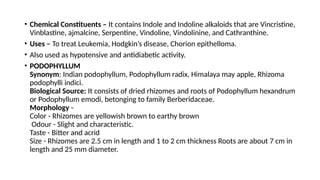 • Chemical Constituents – It contains Indole and Indoline alkaloids that are Vincristine,
Vinblastine, ajmalcine, Serpentine, Vindoline, Vindolinine, and Cathranthine.
• Uses – To treat Leukemia, Hodgkin’s disease, Chorion epithelloma.
• Also used as hypotensive and antidiabetic activity.
• PODOPHYLLUM
Synonym: Indian podophyllum, Podophyllum radix, Himalaya may apple, Rhizoma
podophylli indici.
Biological Source: It consists of dried rhizomes and roots of Podophyllum hexandrum
or Podophyllum emodi, betonging to family Berberidaceae.
Morphology -
Color - Rhizomes are yellowish brown to earthy brown
Odour - Slight and characteristic.
Taste - Bitter and acrid
Size - Rhizomes are 2.5 cm in length and 1 to 2 cm thickness Roots are about 7 cm in
length and 25 mm diameter.
 