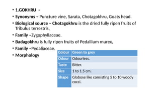 • 1.GOKHRU –
• Synonyms – Puncture vine, Sarata, Chotagokhru, Goats head.
• Biological source – Chotagokhru is the dried fully ripen fruits of
Tribulus terrestris,
• Family –Zygophyllaceae.
• Badagokhru is fully ripen fruits of Pedallium murex,
• Family –Pedaliaceae.
• Morphology
Colour Green to grey
Odour Odourless.
Taste Bitter.
Size 1 to 1.5 cm.
Shape Globose like consisting 5 to 10 woody
cocci.
 