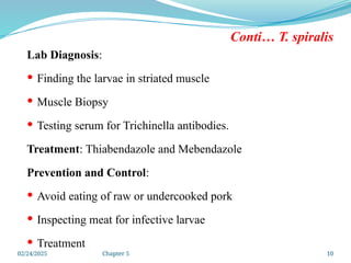 02/24/2025 Chapter 5 10
Conti… T. spiralis
Lab Diagnosis:
 Finding the larvae in striated muscle
 Muscle Biopsy
 Testing serum for Trichinella antibodies.
Treatment: Thiabendazole and Mebendazole
Prevention and Control:
 Avoid eating of raw or undercooked pork
 Inspecting meat for infective larvae
 Treatment
 