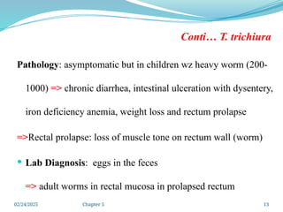 02/24/2025 Chapter 5 13
Conti… T. trichiura
Pathology: asymptomatic but in children wz heavy worm (200-
1000) => chronic diarrhea, intestinal ulceration with dysentery,
iron deficiency anemia, weight loss and rectum prolapse
=>Rectal prolapse: loss of muscle tone on rectum wall (worm)
 Lab Diagnosis: eggs in the feces
=> adult worms in rectal mucosa in prolapsed rectum
 