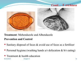 02/24/2025 Chapter 5 14
Conti… T. trichiura
Treatment: Mebendazole and Albendazole
Prevention and Control
 Sanitary disposal of feces & avoid use of feces as a fertilizer
 Personal hygiene (washing hands a/r defecation & b/r eating)
 Treatment & health education
 
