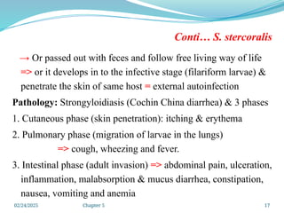 02/24/2025 Chapter 5 17
Conti… S. stercoralis
→ Or passed out with feces and follow free living way of life
=> or it develops in to the infective stage (filariform larvae) &
penetrate the skin of same host = external autoinfection
Pathology: Strongyloidiasis (Cochin China diarrhea) & 3 phases
1. Cutaneous phase (skin penetration): itching & erythema
2. Pulmonary phase (migration of larvae in the lungs)
=> cough, wheezing and fever.
3. Intestinal phase (adult invasion) => abdominal pain, ulceration,
inflammation, malabsorption & mucus diarrhea, constipation,
nausea, vomiting and anemia
 