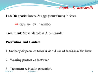 02/24/2025 Chapter 5 18
Conti… S. stercoralis
Lab Diagnosis: larvae & eggs (sometimes) in feces
=> eggs are few in number
Treatment: Mebendazole & Albendazole
Prevention and Control
1. Sanitary disposal of feces & avoid use of feces as a fertilizer
2. Wearing protective footwear
3. Treatment & Health education.
 