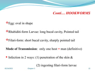 02/24/2025 Chapter 5 22
Conti… HOOKWORMS
Egg: oval in shape
Rhabiditi-form Larvae: long bucal cavity, Pointed tail
Filari-form: short bucal cavity, sharply pointed tail
Mode of Transmission: only one host = man (definitive)
 Infection in 2 ways: (1) penetration of the skin &
(2) ingesting filari-form larvae
 
