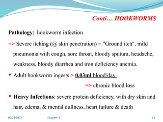 02/24/2025 Chapter 5 24
Conti… HOOKWORMS
Pathology: hookworm infection
=> Severe itching (@ skin penetration) = "Ground itch", mild
pneumonia with cough, sore throat, bloody sputum, headache,
weakness, bloody diarrhea and iron deficiency anemia.
 Adult hookworm ingests > 0.03ml blood/day
=> chronic blood loss
 Heavy Infections: severe protein deficiency, with dry skin and
hair, edema, & mental dullness, heart failure & death
 
