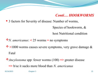 02/24/2025 Chapter 5 25
Conti… HOOKWORMS
 3 factors for Severity of disease: Number of worms,
Species of hookworm, &
host Nutritional condition
N. americanus: < 25 worms = no symptoms
 >1000 worms causes severe symptoms, very grave damage &
Fatal
Ancylostoma spp: fewer worms (100) => greater disease
=> b/se it sucks more blood than N. americanus
 