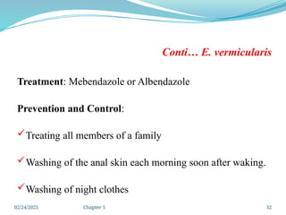 02/24/2025 Chapter 5 32
Conti… E. vermicularis
Treatment: Mebendazole or Albendazole
Prevention and Control:
Treating all members of a family
Washing of the anal skin each morning soon after waking.
Washing of night clothes
 