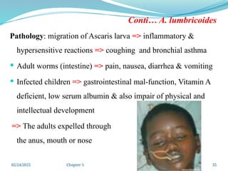 02/24/2025 Chapter 5 35
Conti… A. lumbricoides
Pathology: migration of Ascaris larva => inflammatory &
hypersensitive reactions => coughing and bronchial asthma
 Adult worms (intestine) => pain, nausea, diarrhea & vomiting
 Infected children => gastrointestinal mal-function, Vitamin A
deficient, low serum albumin & also impair of physical and
intellectual development
=> The adults expelled through
the anus, mouth or nose
 