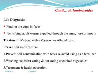02/24/2025 Chapter 5 36
Conti… A. lumbricoides
Lab Diagnosis:
 Finding the eggs in feces
 Identifying adult worms expelled through the anus, nose or mouth
Treatment: Mebendazole (Vermox) or Albendazole
Prevention and Control:
1.Prevent soil contamination with feces & avoid using as a fertilizer
2.Washing hands b/r eating & not eating uncooked vegetables
3.Treatment & health education.
 