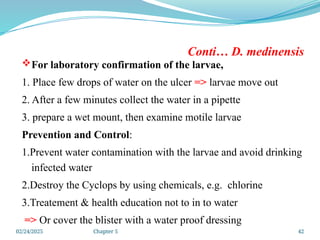 02/24/2025 Chapter 5 42
Conti… D. medinensis
For laboratory confirmation of the larvae,
1. Place few drops of water on the ulcer => larvae move out
2. After a few minutes collect the water in a pipette
3. prepare a wet mount, then examine motile larvae
Prevention and Control:
1.Prevent water contamination with the larvae and avoid drinking
infected water
2.Destroy the Cyclops by using chemicals, e.g. chlorine
3.Treatement & health education not to in to water
=> Or cover the blister with a water proof dressing
 