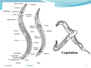 02/24/2025 Chapter 5 6
 