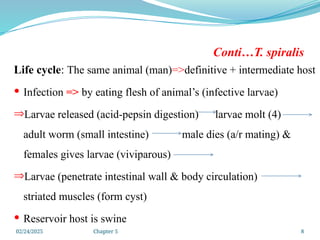 02/24/2025 Chapter 5 8
Conti…T. spiralis
Life cycle: The same animal (man)=>definitive + intermediate host
 Infection => by eating flesh of animal’s (infective larvae)
ÞLarvae released (acid-pepsin digestion) larvae molt (4)
adult worm (small intestine) male dies (a/r mating) &
females gives larvae (viviparous)
ÞLarvae (penetrate intestinal wall & body circulation)
striated muscles (form cyst)
 Reservoir host is swine
 