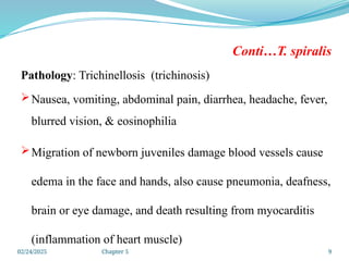 02/24/2025 Chapter 5 9
Conti…T. spiralis
Pathology: Trichinellosis (trichinosis)
Nausea, vomiting, abdominal pain, diarrhea, headache, fever,
blurred vision, & eosinophilia
Migration of newborn juveniles damage blood vessels cause
edema in the face and hands, also cause pneumonia, deafness,
brain or eye damage, and death resulting from myocarditis
(inflammation of heart muscle)
 