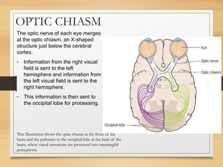 Chapter 5.psychologyyyyyyyyyyyyyyyyyyyyy | PPTX