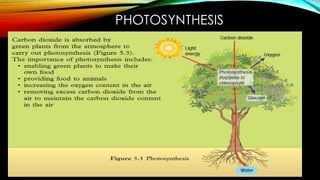 Chapter 5 Chemistry Form 5 PPT Notes SPM | PDF