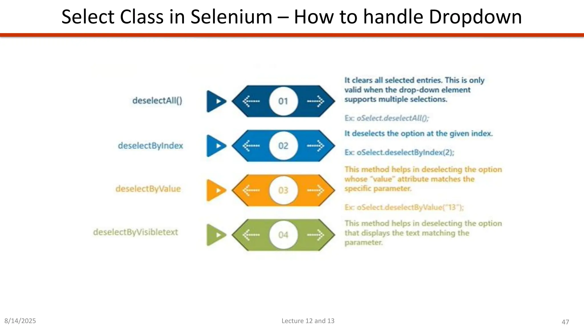 47
Lecture 12 and 13
Select Class in Selenium – How to handle Dropdown
8/14/2025
 