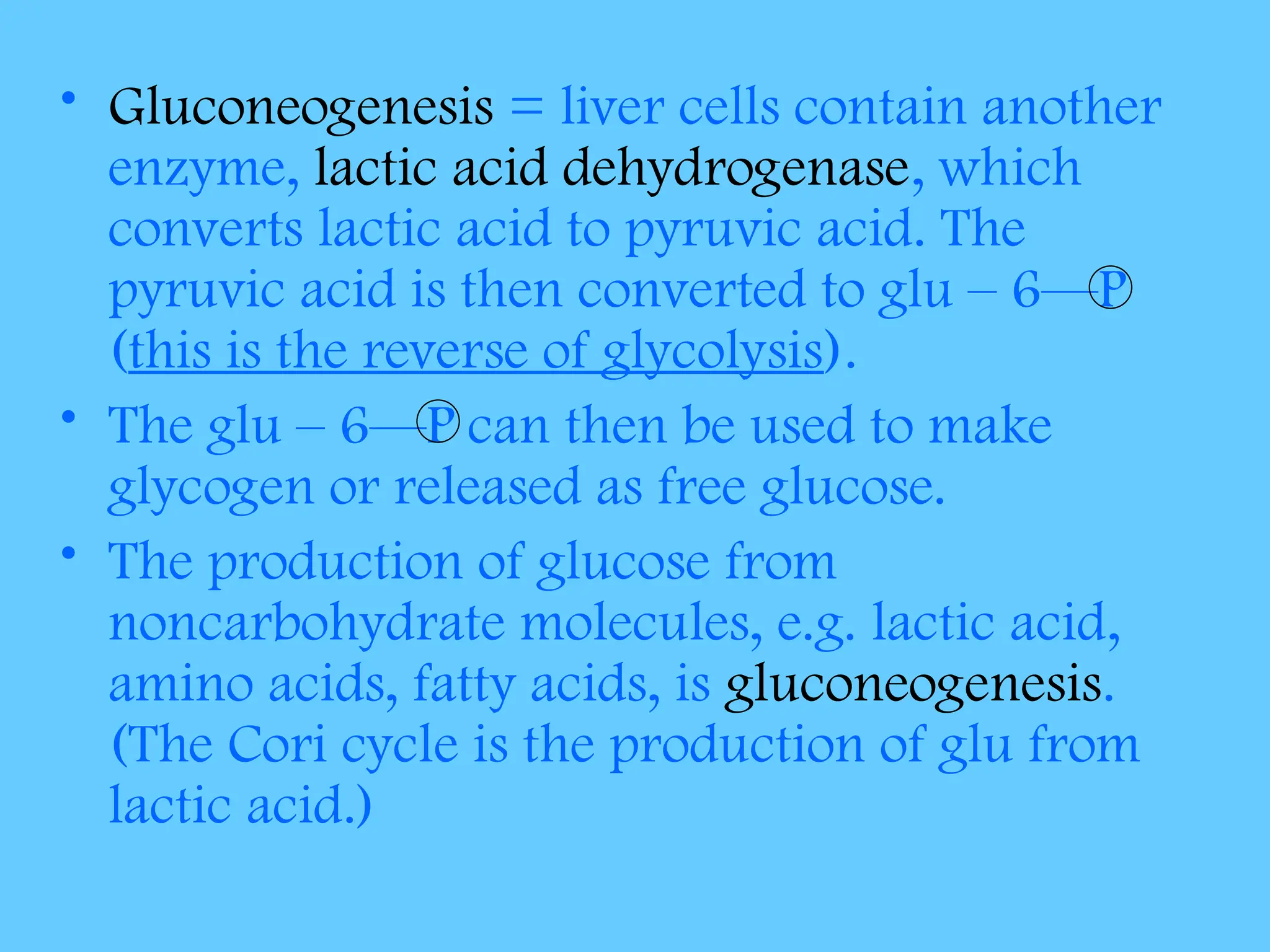 • Gluconeogenesis = liver cells contain another
enzyme, lactic acid dehydrogenase, which
converts lactic acid to pyruvic acid. The
pyruvic acid is then converted to glu – 6—P
(this is the reverse of glycolysis).
• The glu – 6—P can then be used to make
glycogen or released as free glucose.
• The production of glucose from
noncarbohydrate molecules, e.g. lactic acid,
amino acids, fatty acids, is gluconeogenesis.
(The Cori cycle is the production of glu from
lactic acid.)
 