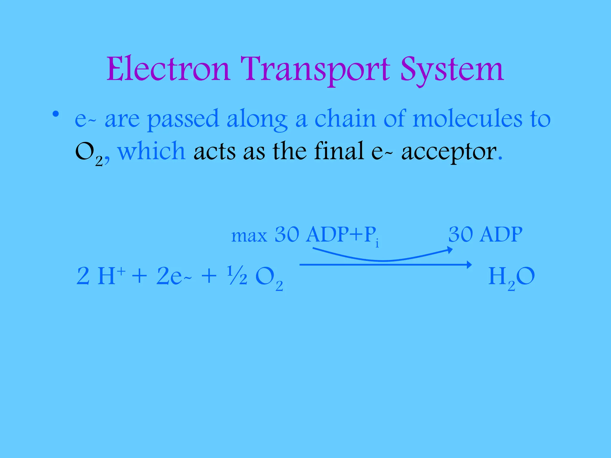 Electron Transport System
• e- are passed along a chain of molecules to
O2, which acts as the final e- acceptor.
max 30 ADP+Pi 30 ADP
2 H+
+ 2e- + ½ O2 H2O
 
